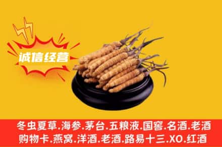 阳江回收冬虫夏草